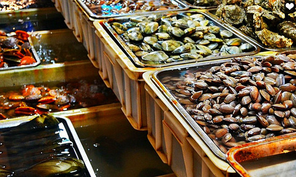 三亚一日游必买的婚纱 (三亚婚纱旅拍攻略)