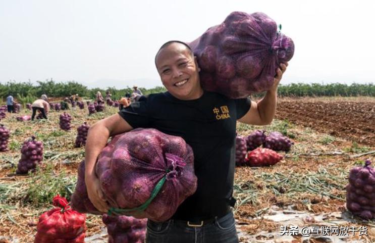 拼多多低价产品的意义,拼多多买的洋葱怎么样