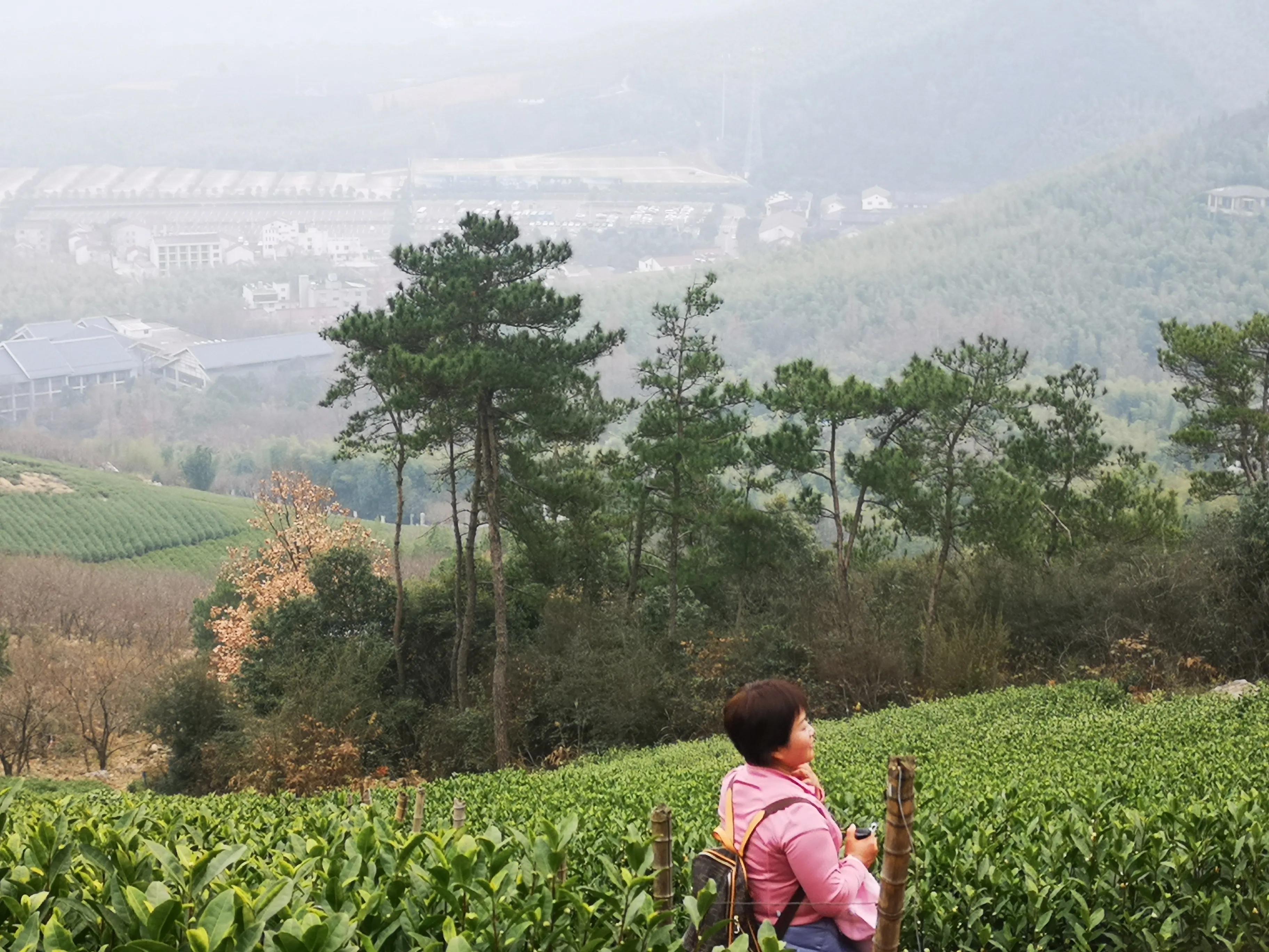 溧阳南山竹海小鸟天堂,宜兴南山竹海和溧阳南山竹海