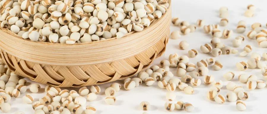 人阳气不足可服什么中成药,阳气不足三伏天怎么调养