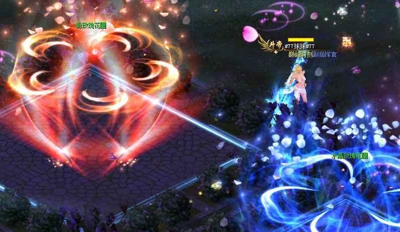 世界第一最强猴子,世界第一只猴子叫什么