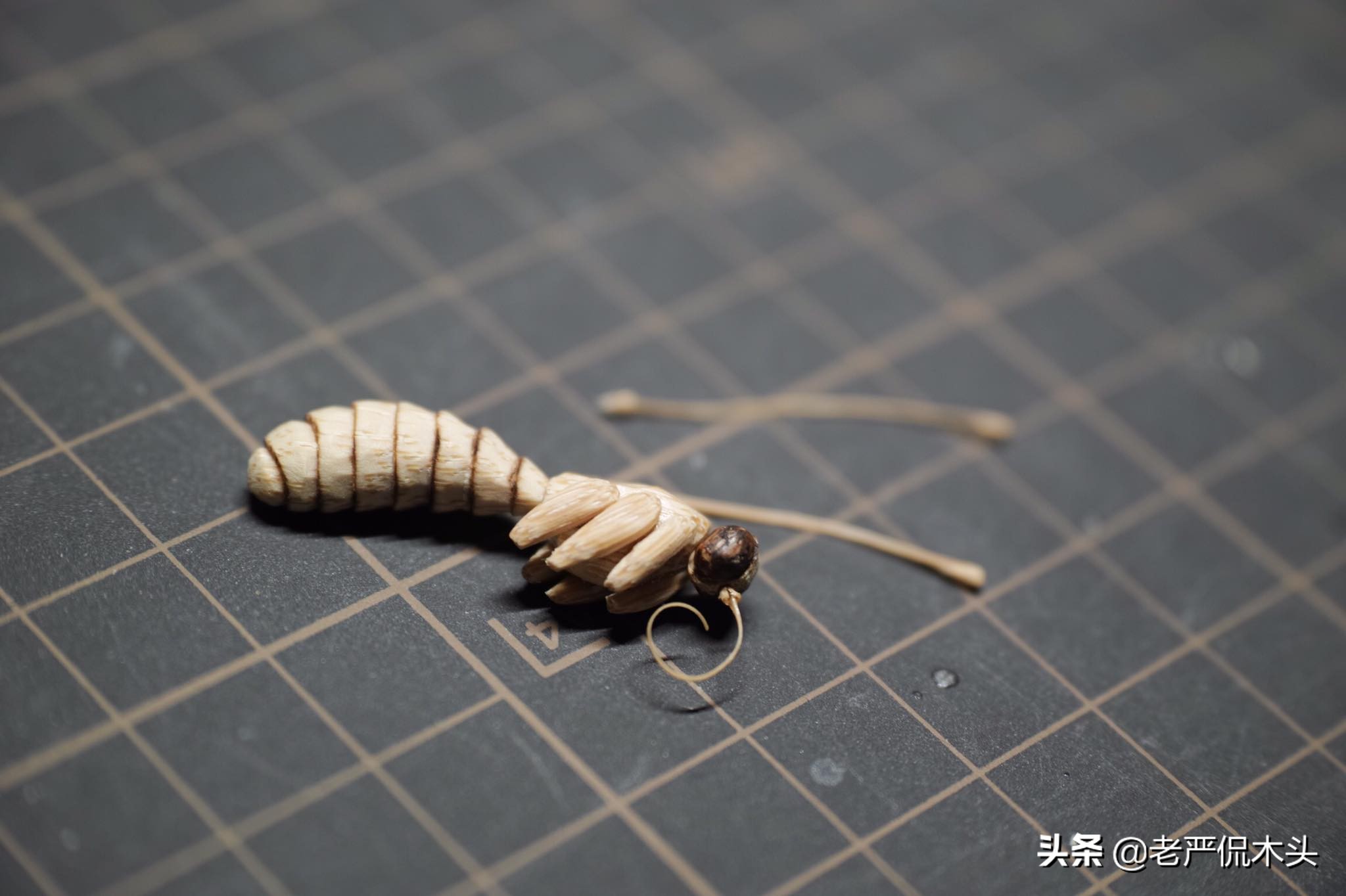 昆虫标本树脂竹节虫,昆虫标本制作竹节虫