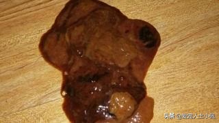 新手养狗怎么注意犬瘟细小,细小很严重如何判断狗狗得了细小