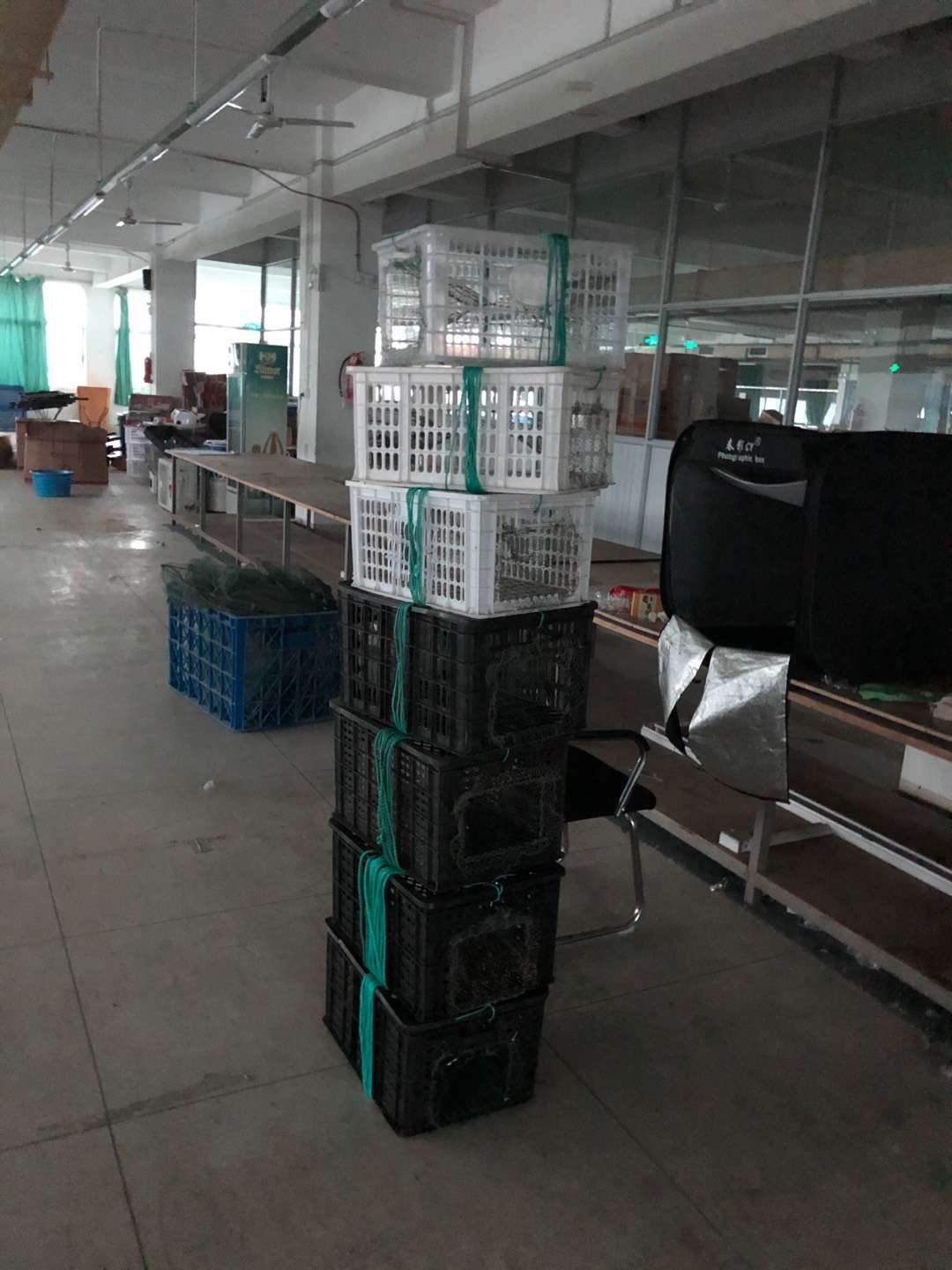 抓螃蟹的笼子自制教程,制作螃蟹笼捉螃蟹来吃