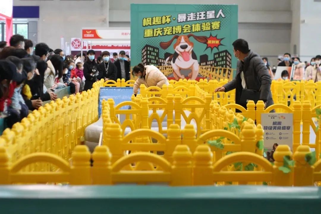 铲屎官实力,铲屎官挣钱不容易