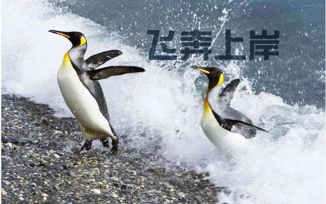 国考报名首日超11万人提交申请,国考报名人数首破300万