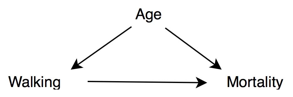 为什么科学的基础是数学,为什么有科学