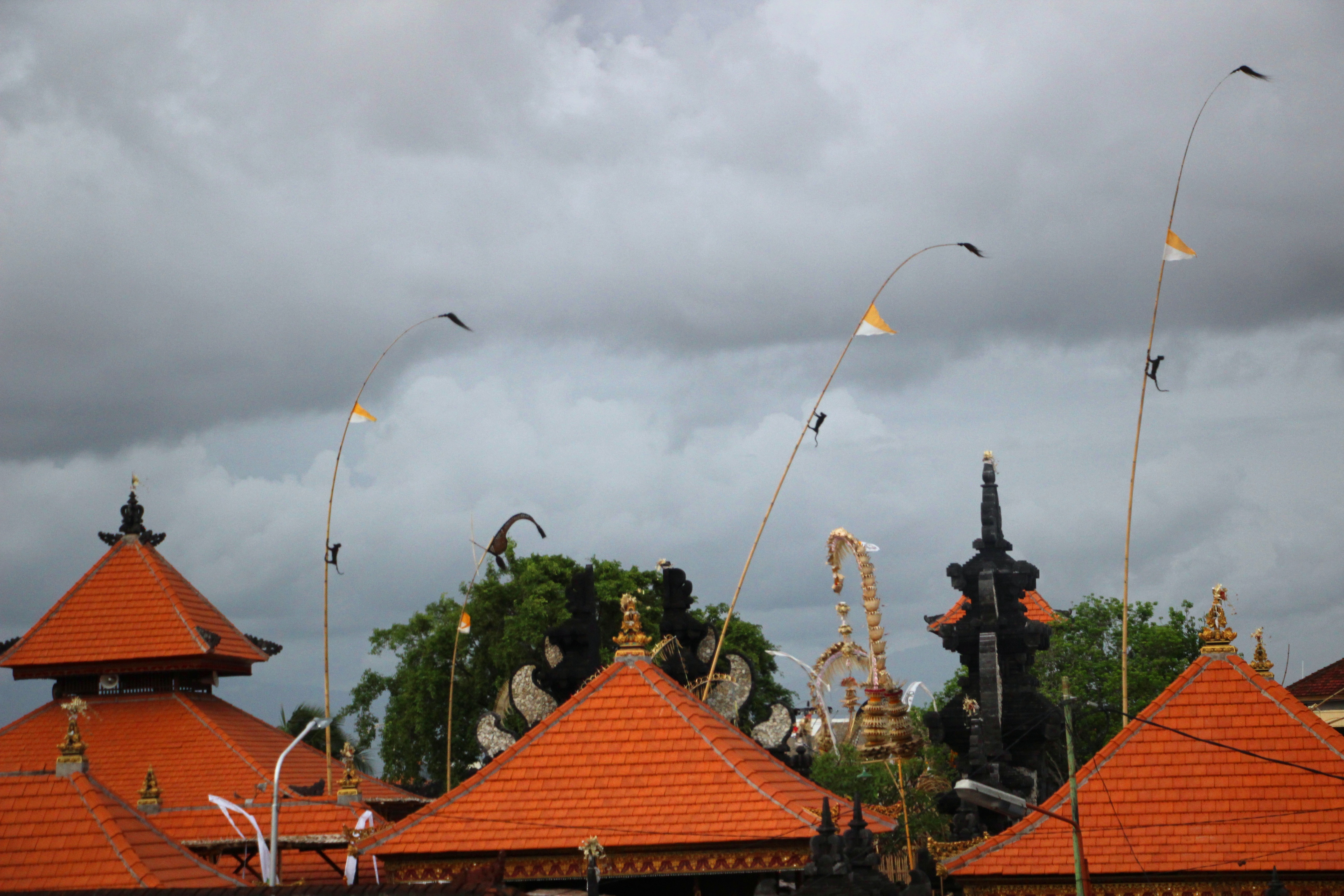 天堂之岛巴厘岛,天堂之岛巴厘岛旅游