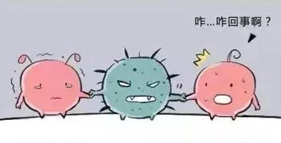 卵巢囊肿和卵巢冠囊肿有什么区别,卵巢巧克力囊肿和卵巢囊肿的区别