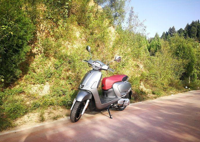 鍏夐槼楹︾鐗瑰拰鍏夐槼璞繄鍖哄埆,鍏夐槼鍜屽厜闃抽害绉戠壒