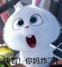 你是不是处女座是什么意思,你是不是处女座是什么梗