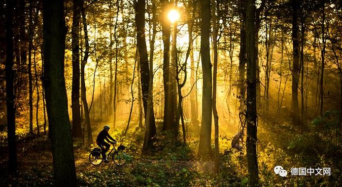 喜欢德国人的理由,喜欢德国的一般什么性格