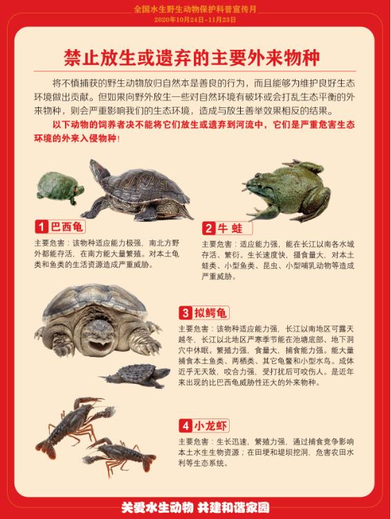 浙江台州河里钓鱼,浙江台州椒江区钓友