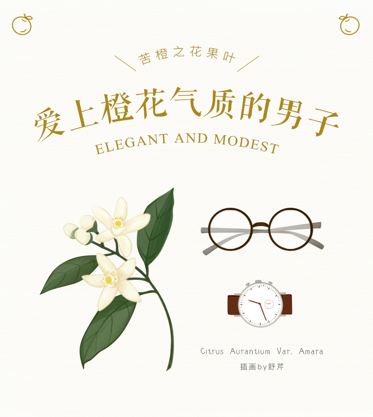 这种植物精油,更能代表温润如玉的男子