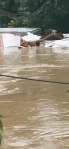 少年见义勇为救人死亡,见义勇为落水救人牺牲