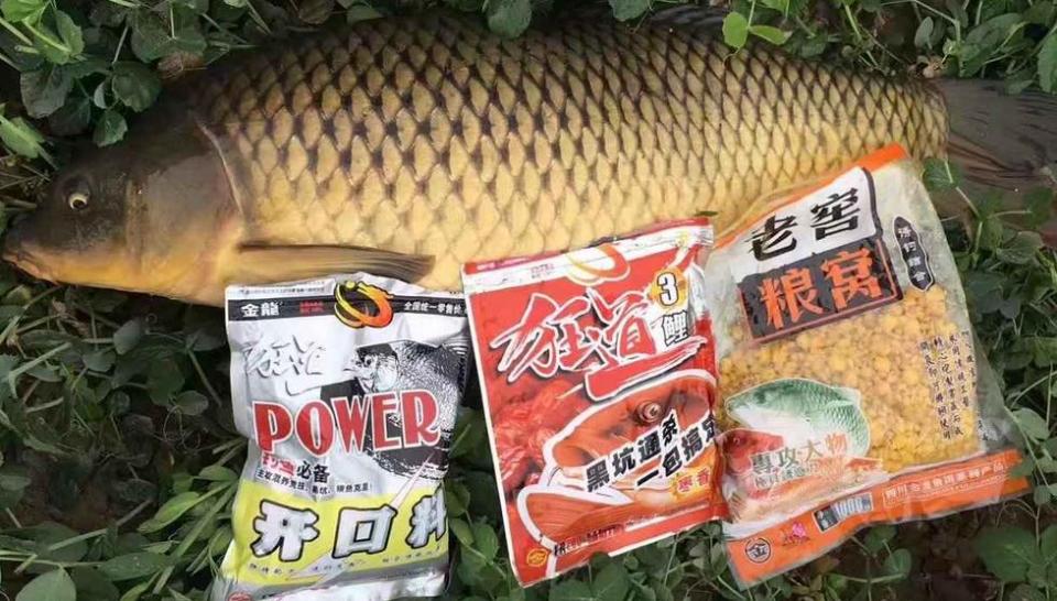 野钓大鱼怎么钓最好,野钓深水怎么钓大鱼