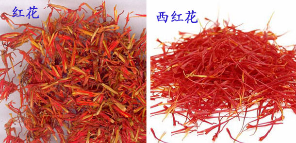 红花西红花鉴别对比,红花与西红花的区别点