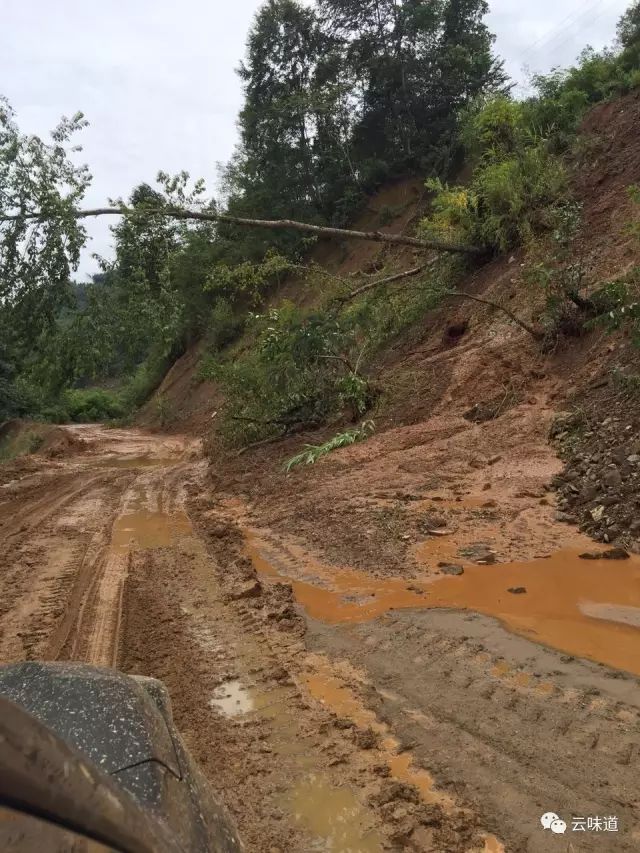 18万冰岛普洱茶,冰岛18年茶价格