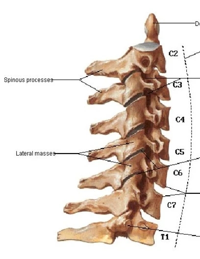 颈椎腰椎疾病ct及mri诊断,腰椎ct可以发现肠部病变吗