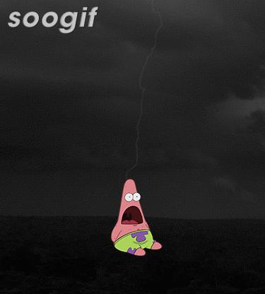 真材实料满满的胶原蛋白,让每一口都充满满满的胶原蛋白