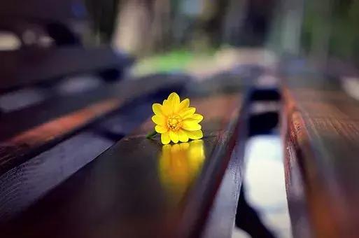 刁问妙答（绝妙）