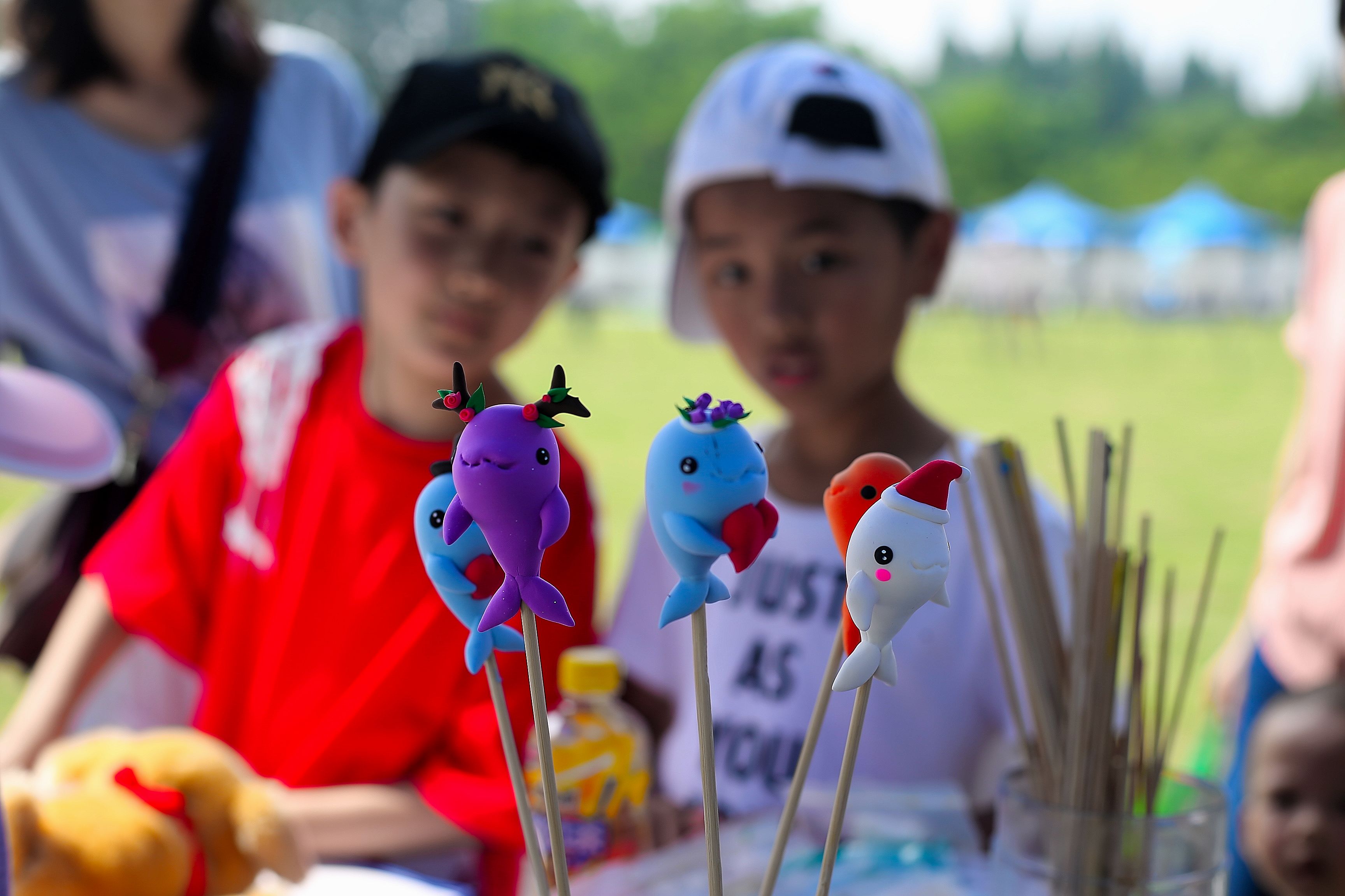 保卫蓝天守护自然∣阿拉善SEE安徽项目中心第三届自然嘉年华成功举办嗨翻全场