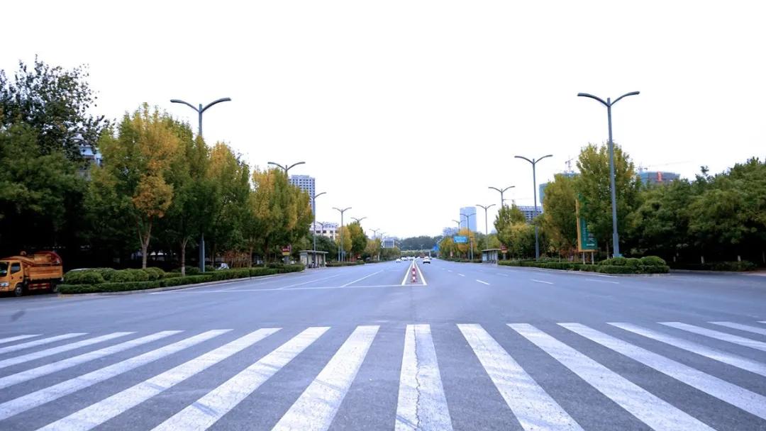 你为什么留在这座城市,你为什么留在这个城市