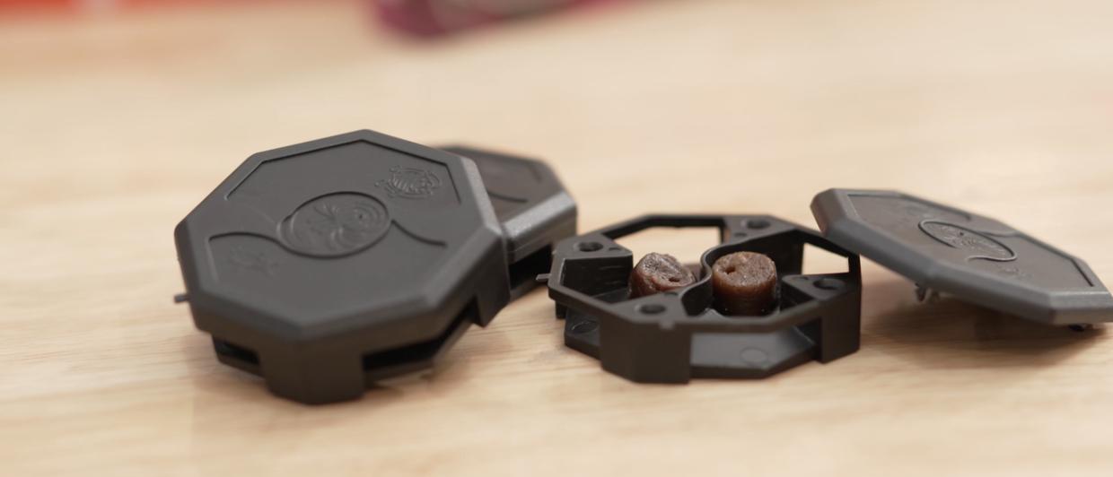 家中有蟑螂怎么一网打尽,家中发现一只蟑螂怎么办