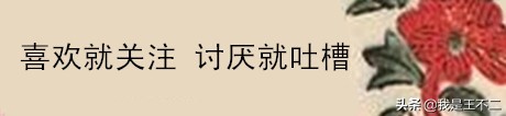 蚕的另一个故事，罗马大皇帝，公主间谍和民国主席