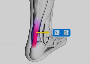 运动不当伤脚筋怎么治,健康之路运动不当脚遭殃