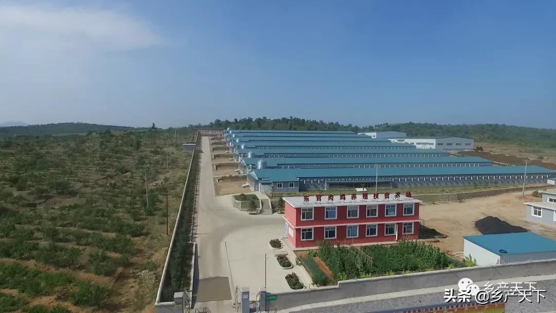 姝ｅぇ1浜垮彧鑲夐浮鍏ㄤ骇涓氶摼椤圭洰,鑲夐浮鍏绘畺琛屼笟榫欏ご浼佷笟