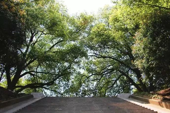 南京公园免费日期,免费公园南京