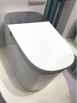 最大智能马桶代工厂,智能马桶工厂现状