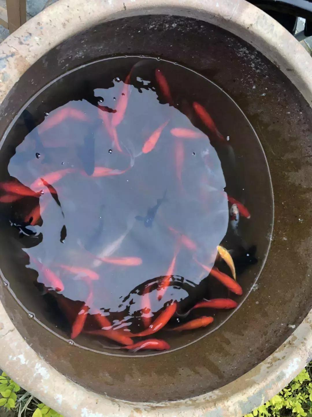 宝鸡市凤翔区灵山景区,宝鸡灵山和凤翔灵山是一个吗