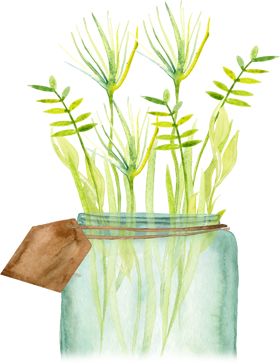 今日清明的表情,今日清明共寄哀思