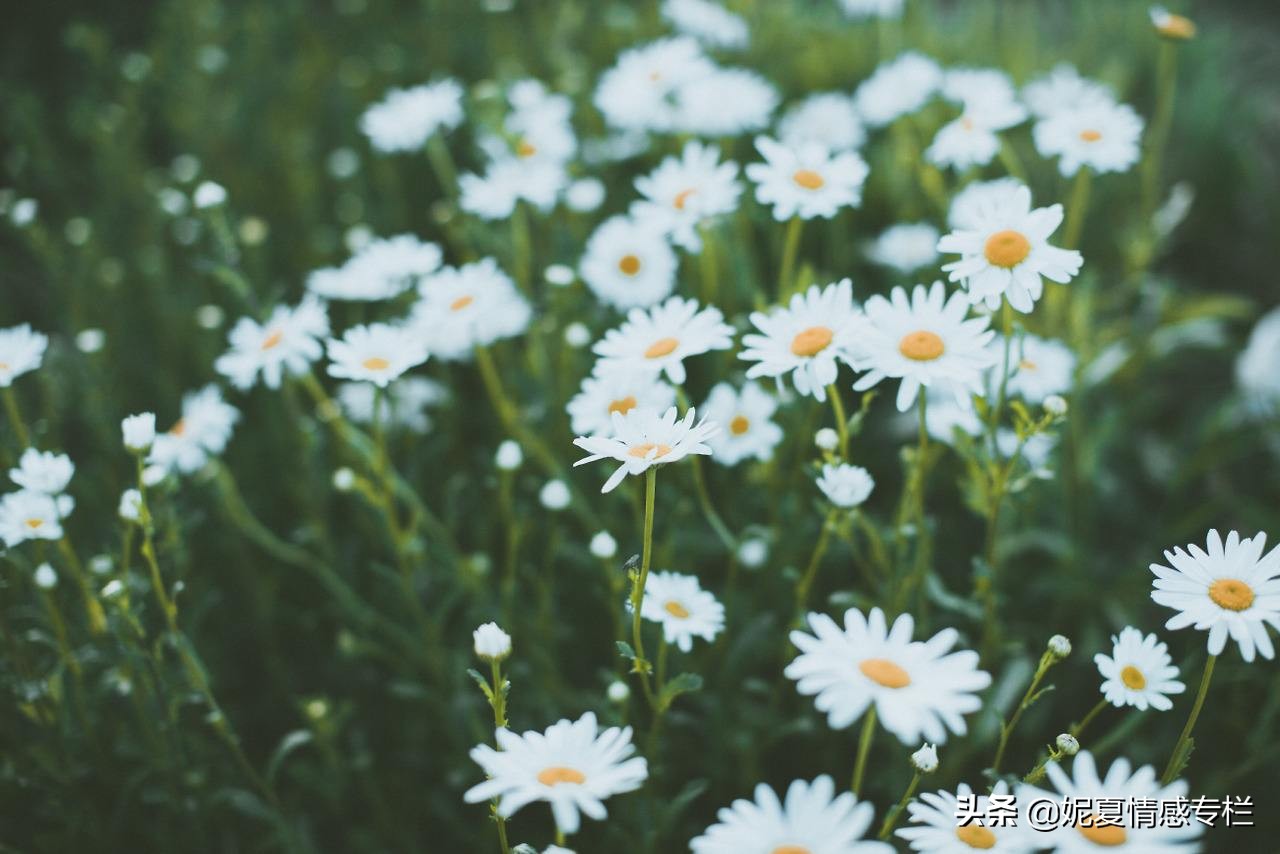 一封丈夫出轨的信,一封关于出轨的信