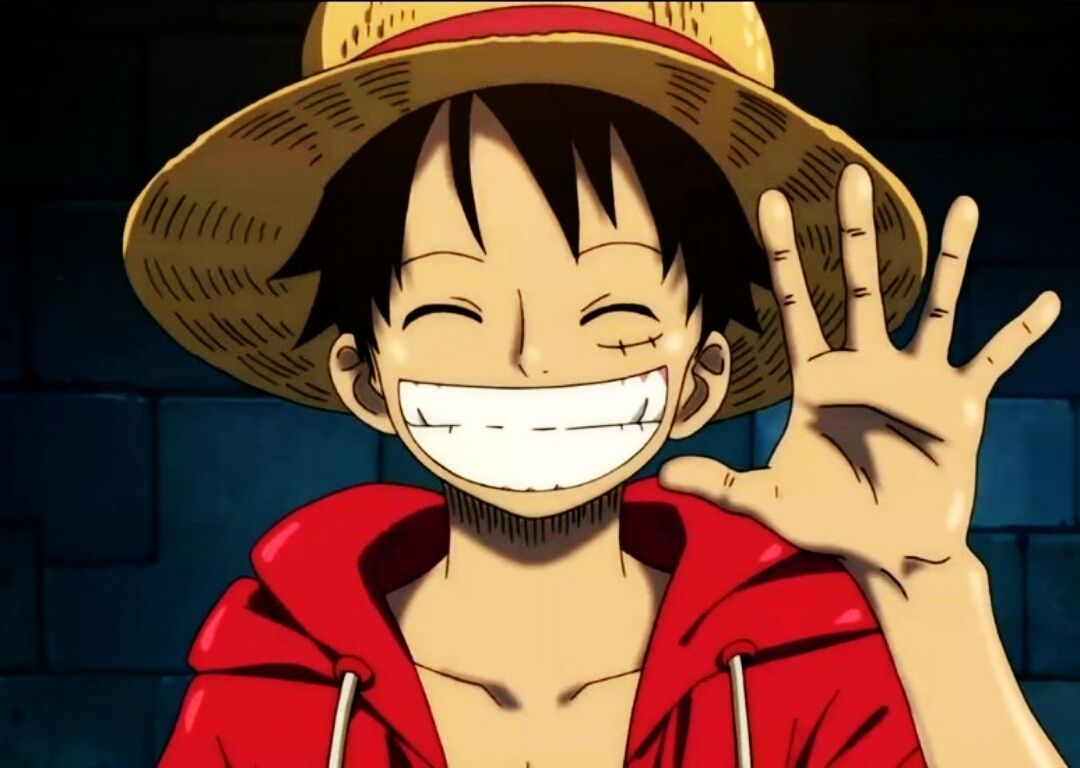 海贼王里谁适合当女朋友,海贼王谁能成为副船长