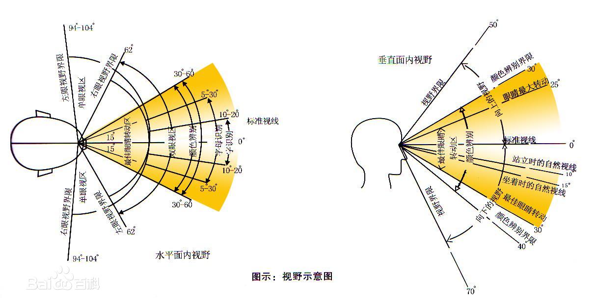 高空捉虫，水下捕鱼，还能看到紫外线，鸟类的眼睛里藏着什么秘密