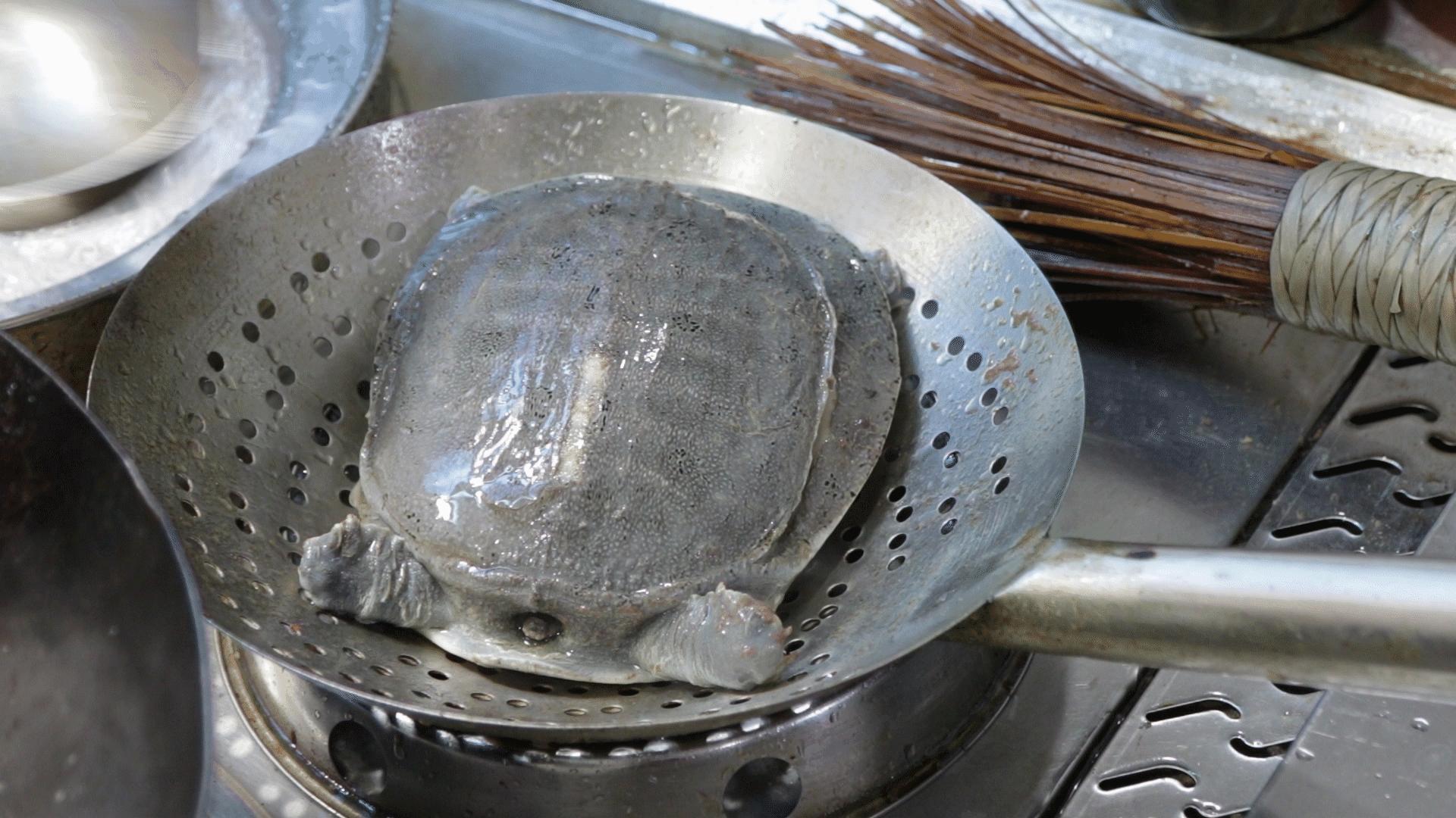 如何将清炖甲鱼汤炖的粘稠,甲鱼汤怎样炖才好喝又白