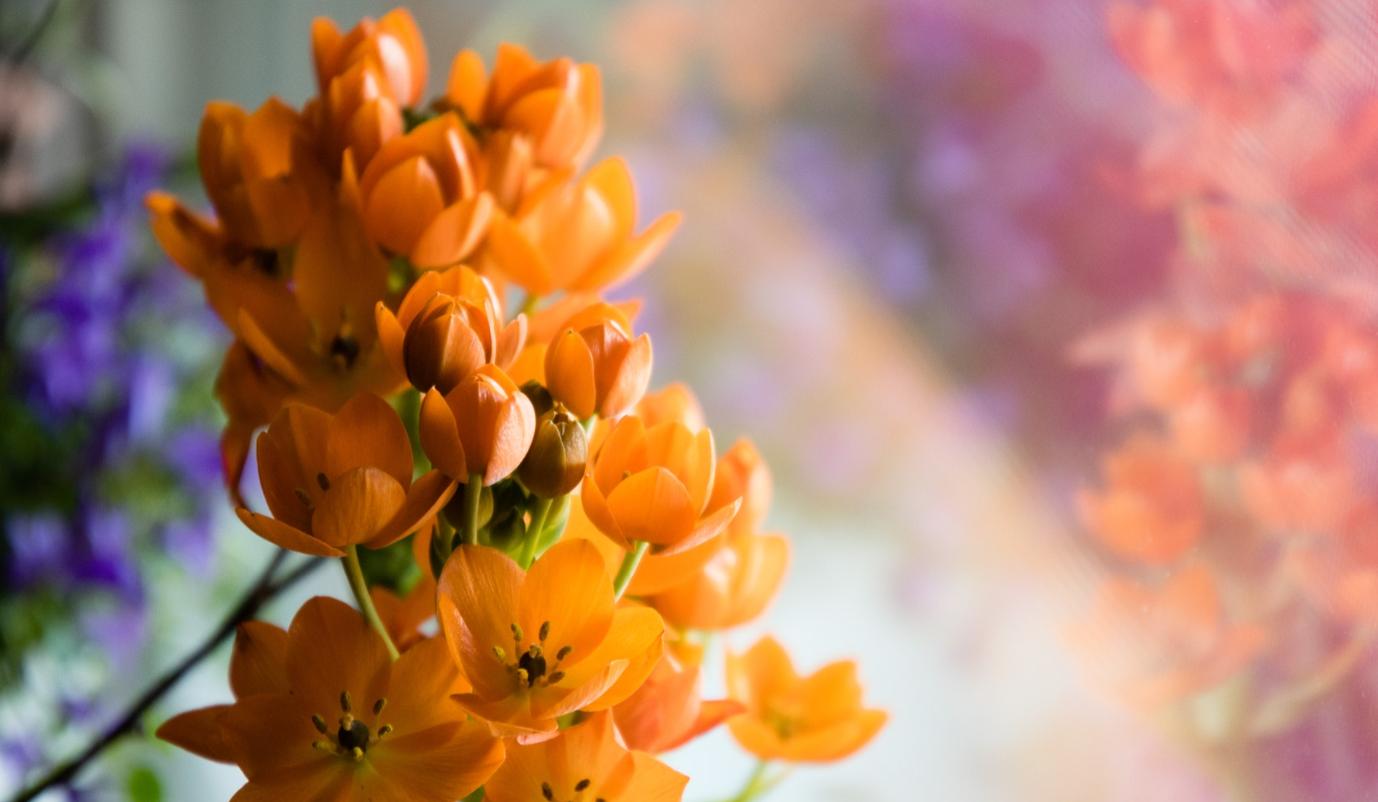 高度自律的摩羯座男,摩羯座自律最强的星座女生