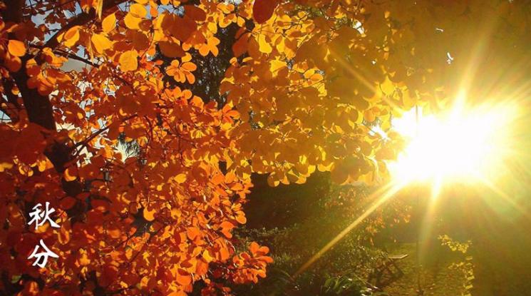 二十四节气秋分,二十四节气秋分养生先养肺