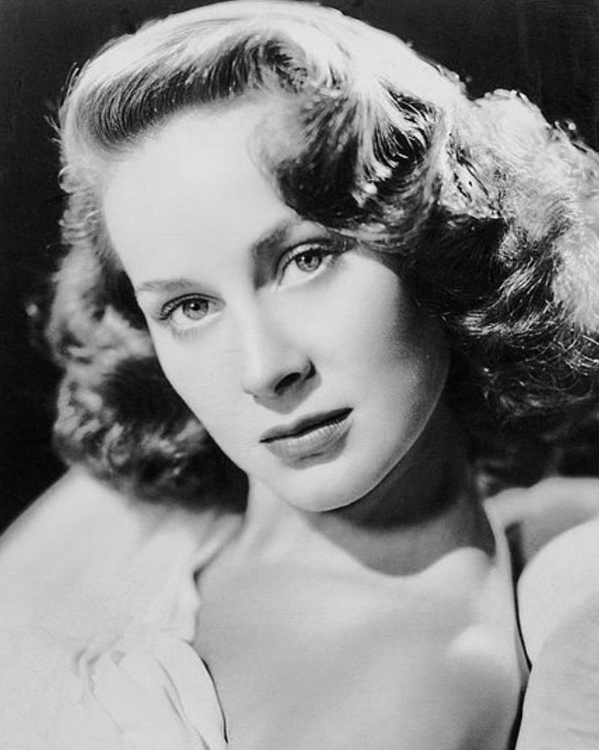 单杠上的公主和莫扎特咖啡馆的谋杀案