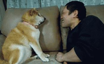 说话时口臭怎么办如何快速消除,说话多口臭口干口苦是什么原因