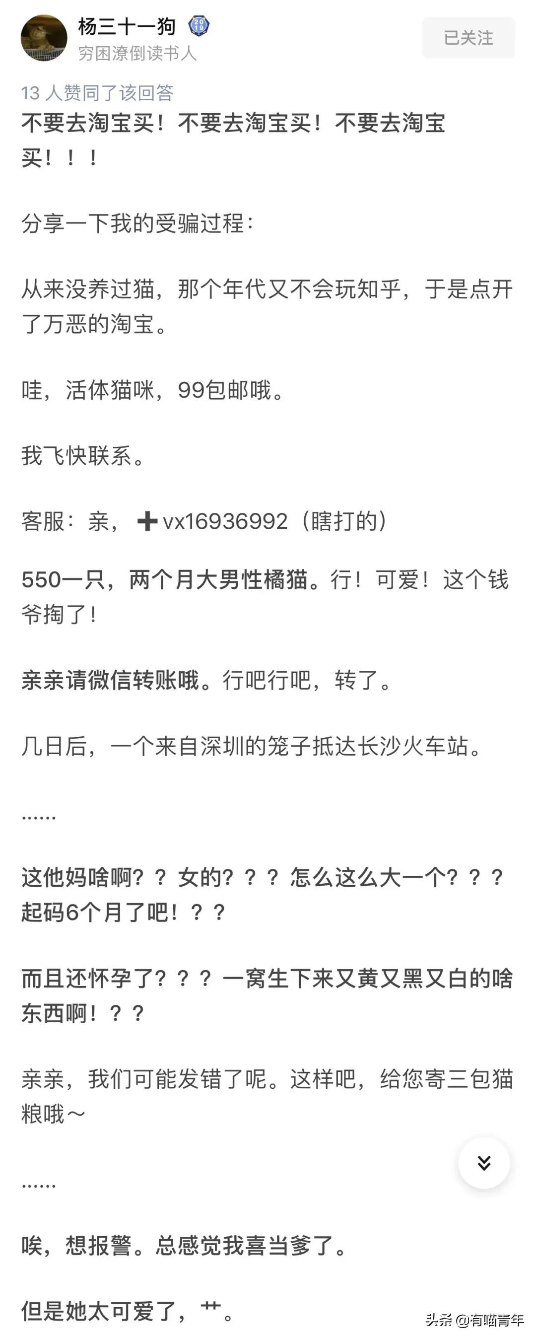 网上买的猫运回来死了,网上买猫三天送到半夜死了