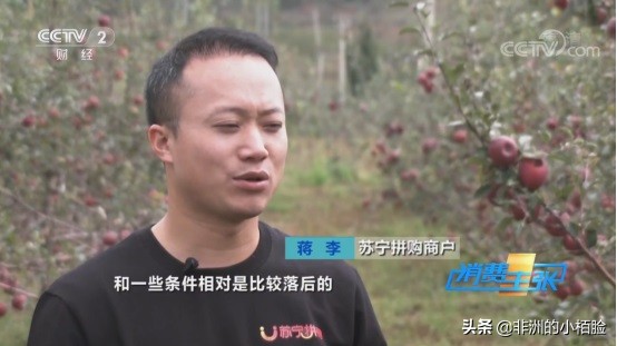 双十一前夕大凉山深处建起拼购村，丑苹果”却悄悄成为了网红