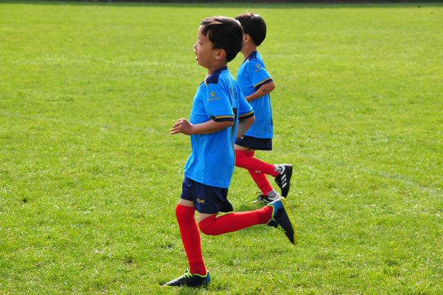 抢圈的作用,抢圈是什么