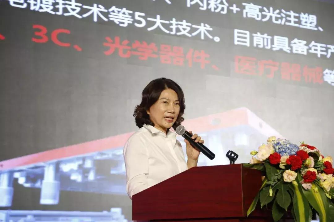 董明珠在中国品牌节演讲,董明珠参加中国企业高峰论坛