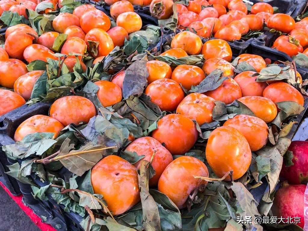 最便宜的早市品种,北方早市有哪些品种