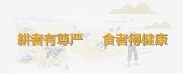 四川爱媛38号果冻橙1250g试吃装,爱媛果冻橙38号和28号有什么区别