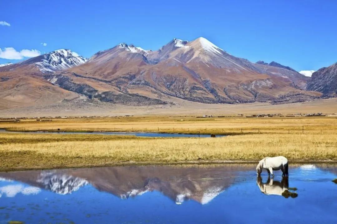 酸奶糊,酸奶湖6月份风景